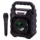 اسپیکر بلوتوثی رم و فلش خور YD-702 + میکروفون