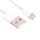 کابل لایتنینگ اورجینال iPhone طول 1 متر سرجعبه