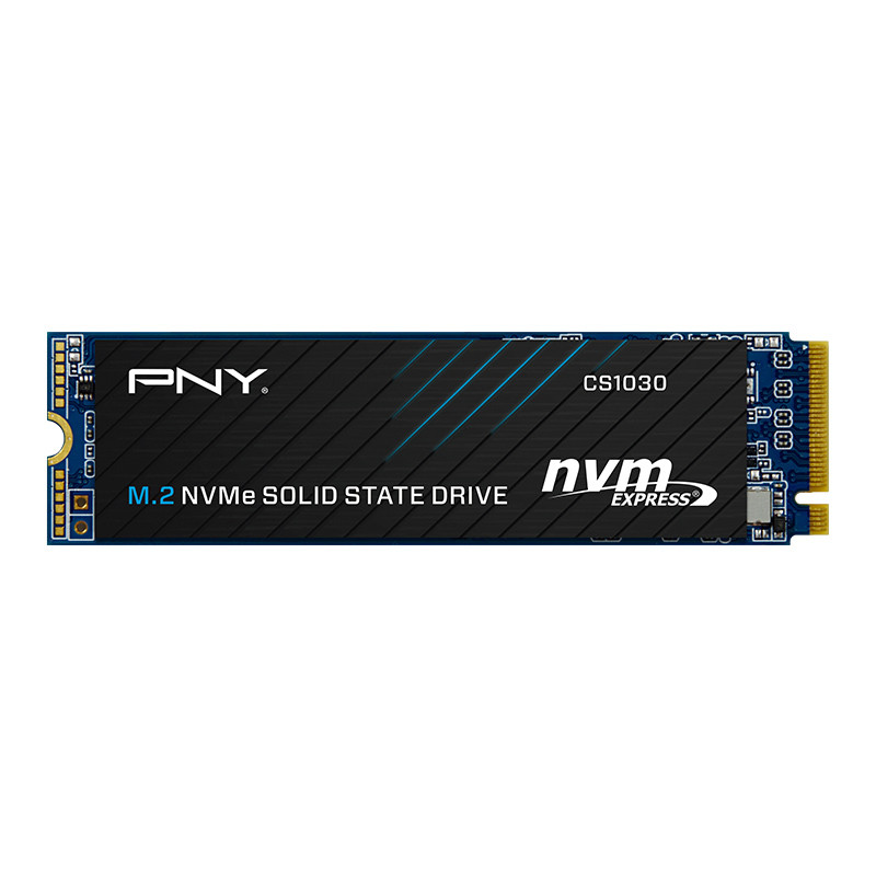 حافظه SSD پی ان وای PNY CS1030 250GB M.2