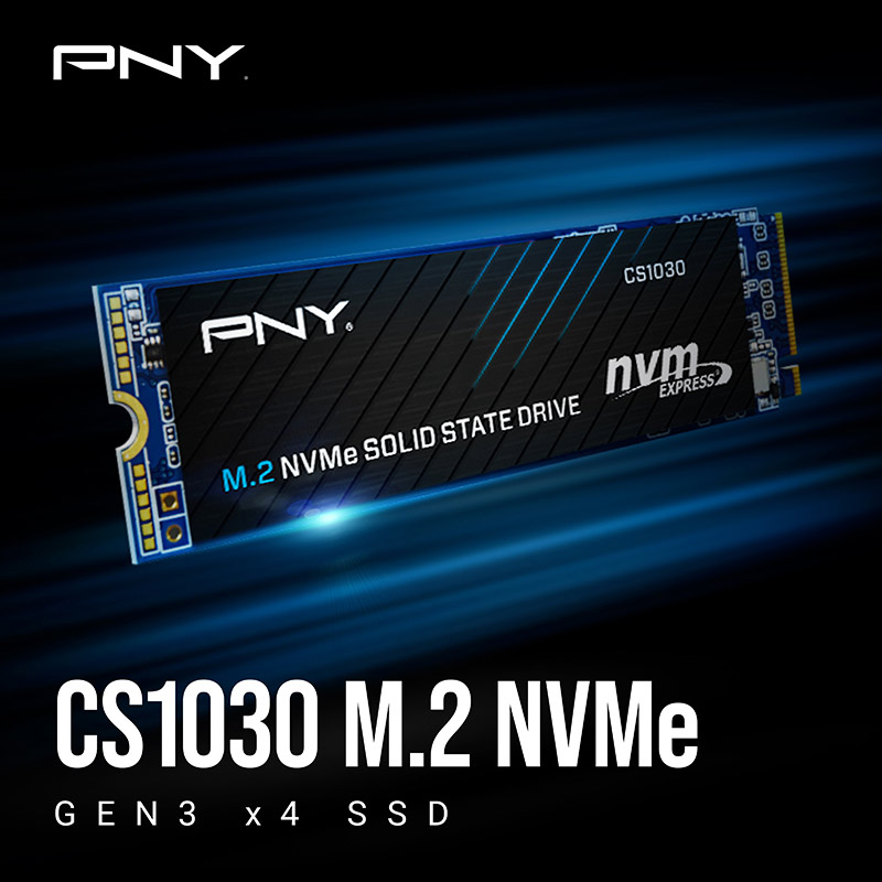 حافظه SSD پی ان وای PNY CS1030 250GB M.2