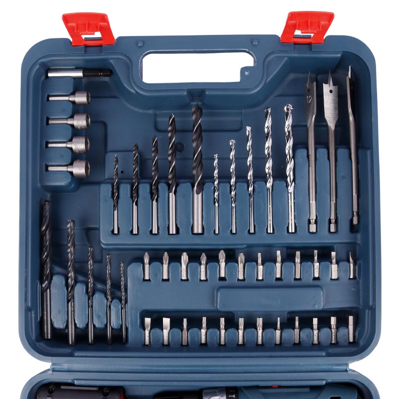کیت دریل شارژی چکشی Ronix RS-8019